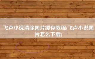 飞卢小说清除图片缓存教程(飞卢小说图片怎么下载)