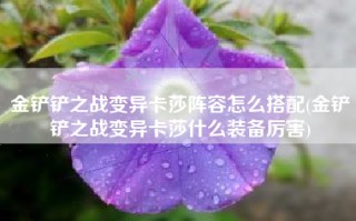 金铲铲之战变异卡莎阵容怎么搭配(金铲铲之战变异卡莎什么装备厉害)