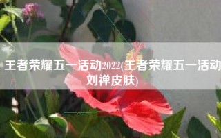 王者荣耀五一活动2022(王者荣耀五一活动刘禅皮肤)