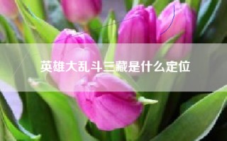 英雄大乱斗三藏是什么定位