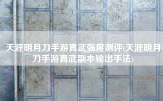 天涯明月刀手游真武强度测评(天涯明月刀手游真武副本输出手法)