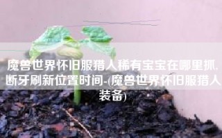 魔兽世界怀旧服猎人稀有宝宝在哪里抓,断牙刷新位置时间-(魔兽世界怀旧服猎人装备)