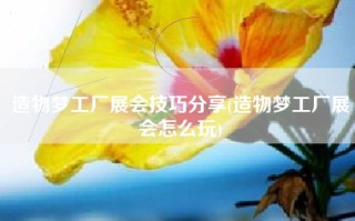 造物梦工厂展会技巧分享(造物梦工厂展会怎么玩)