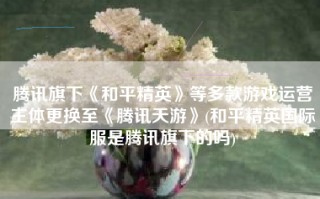 腾讯旗下《和平精英》等多款游戏运营主体更换至《腾讯天游》(和平精英国际服是腾讯旗下的吗)