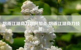 烟雨江湖商刀如何加点(烟雨江湖商刀技能)