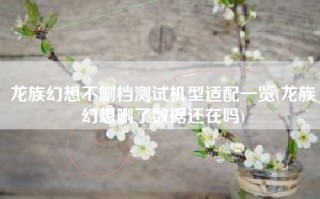 龙族幻想不删档测试机型适配一览(龙族幻想删了数据还在吗)