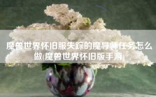 魔兽世界怀旧服失踪的魔导师任务怎么做(魔兽世界怀旧版手游)