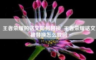 王者荣耀的铭文如何替换_王者荣耀铭文被替换怎么找回