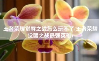 王者荣耀觉醒之战怎么玩不了(王者荣耀觉醒之战最强英雄)