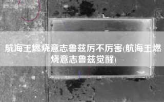 航海王燃烧意志鲁兹厉不厉害(航海王燃烧意志鲁兹觉醒)