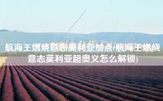 航海王燃烧意志莫利亚加点(航海王燃烧意志莫利亚超奥义怎么解锁)