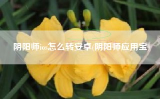 阴阳师ios怎么转安卓(阴阳师应用宝)