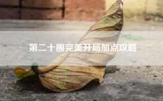 第二十圈完美开局加点攻略
