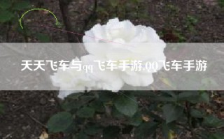 天天飞车与qq飞车手游,QQ飞车手游