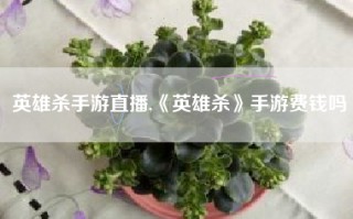 英雄杀手游直播,《英雄杀》手游费钱吗