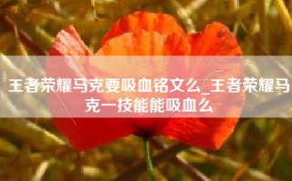 王者荣耀马克要吸血铭文么_王者荣耀马克一技能能吸血么