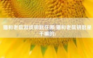 猫和老鼠游戏钥匙在哪(猫和老鼠钥匙是干嘛的)