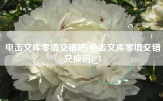 电击文库零境交错吧(电击文库零境交错兑换码)_1