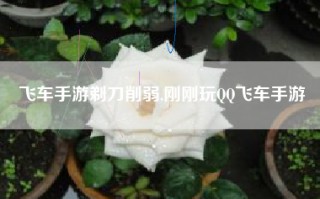 飞车手游剃刀削弱,刚刚玩QQ飞车手游