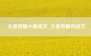 王者荣耀小黑铭文_王者荣耀肉铭文