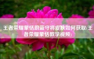 王者荣耀蒙恬蔚蓝守将皮肤如何获取(王者荣耀蒙恬教学视频)