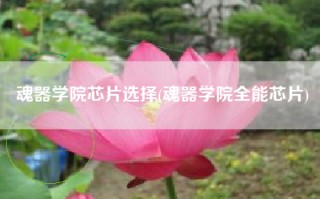 魂器学院芯片选择(魂器学院全能芯片)