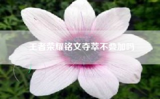 王者荣耀铭文夺萃不叠加吗