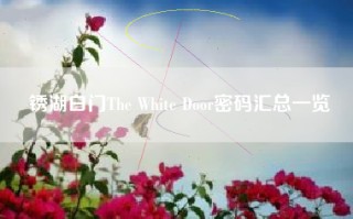 锈湖白门The White Door密码汇总一览