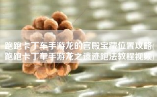 跑跑卡丁车手游龙的宫殿宝藏位置攻略(跑跑卡丁车手游龙之遗迹跑法教程视频)