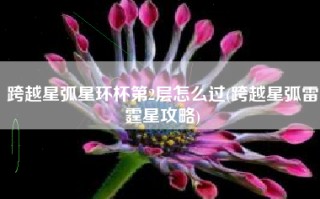 跨越星弧星环杯第2层怎么过(跨越星弧雷霆星攻略)