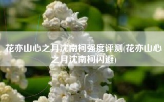 花亦山心之月沈南柯强度评测(花亦山心之月沈南柯闪避)