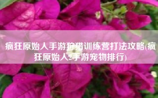 疯狂原始人手游狩猎训练营打法攻略(疯狂原始人2手游宠物排行)