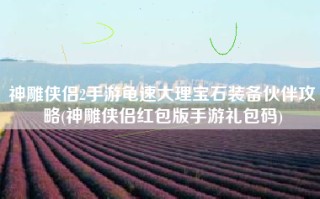神雕侠侣2手游龟速大理宝石装备伙伴攻略(神雕侠侣红包版手游礼包码)