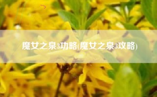 魔女之泉3功略(魔女之泉3攻略)
