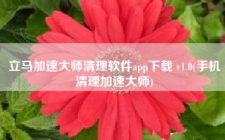 立马加速大师清理软件app下载 v1.0(手机清理加速大师)