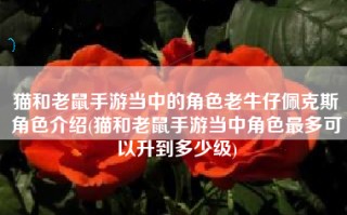 猫和老鼠手游当中的角色老牛仔佩克斯角色介绍(猫和老鼠手游当中角色最多可以升到多少级)