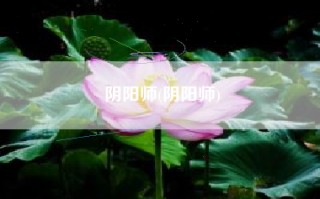 阴阳师(阴阳师)