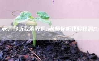 老师你听我解释啊2(老师你听我解释啊23)