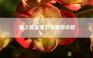 猫之城雷鬼节奏推荐攻略