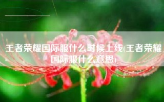 王者荣耀国际服什么时候上线(王者荣耀国际服什么意思)
