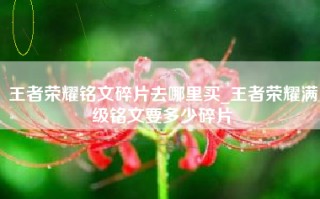 王者荣耀铭文碎片去哪里买_王者荣耀满级铭文要多少碎片