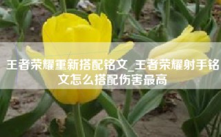 王者荣耀重新搭配铭文_王者荣耀射手铭文怎么搭配伤害最高