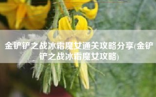 金铲铲之战冰霜魔女通关攻略分享(金铲铲之战冰霜魔女攻略)