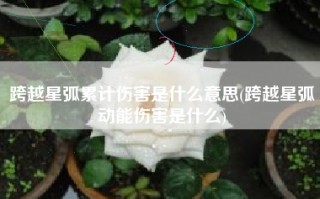 跨越星弧累计伤害是什么意思(跨越星弧动能伤害是什么)