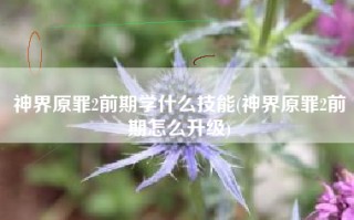 神界原罪2前期学什么技能(神界原罪2前期怎么升级)