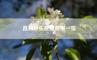 直到尽头配置要求一览