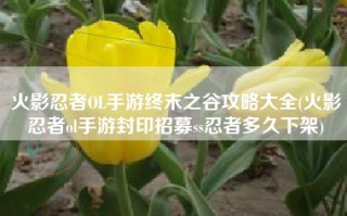 火影忍者OL手游终末之谷攻略大全(火影忍者ol手游封印招募ss忍者多久下架)