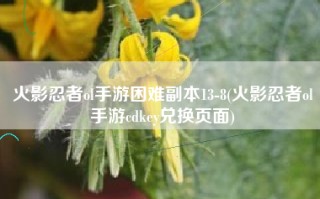 火影忍者ol手游困难副本13-8(火影忍者ol手游cdkey兑换页面)