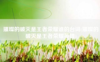 璀璨的破灭是王者荣耀谁的台词(璀璨的破灭是王者荣耀英雄)
