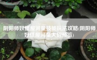 阴阳师妖怪屋河童技能玩法攻略(阴阳师妖怪屋河童大招预览)
